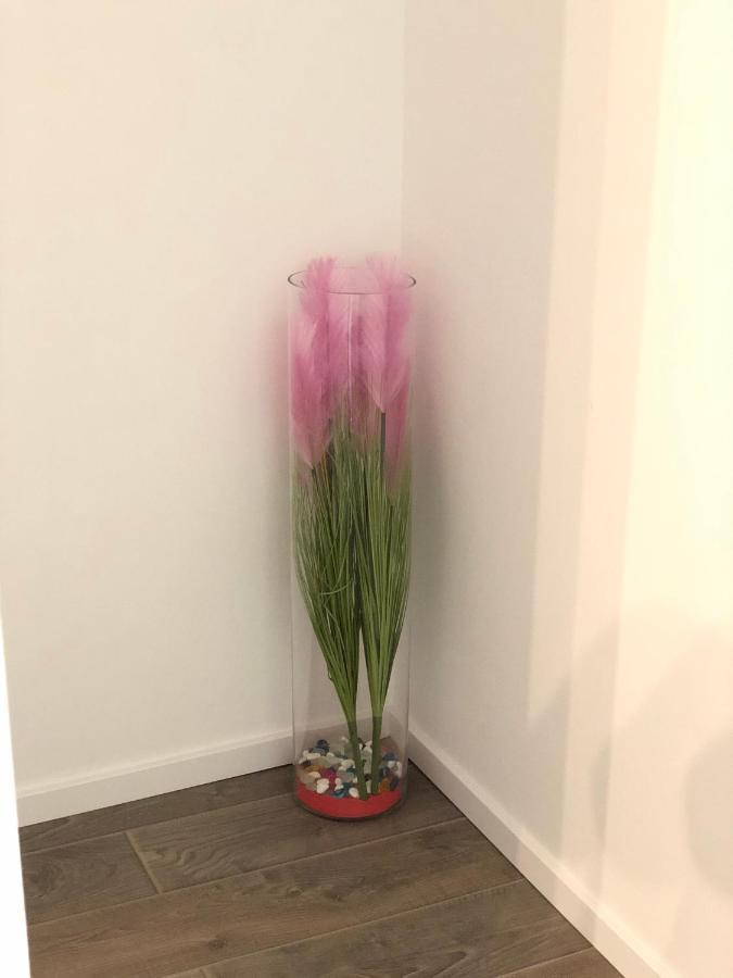 Apartman Ana Zadar Apartment Luaran gambar